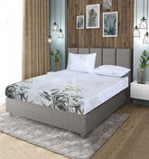 Fitted Double Bed Sheet DS# 323