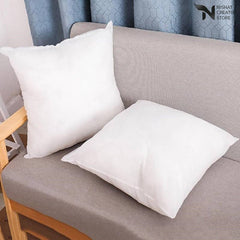 Vacuum Packed 2 Filled Cushion NC 01 - Nishat Creative Store