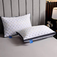Embroidered Vacuum Packed Luxury Filled Pillow Design 111 - Nishat Creative Store